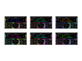 Автомагнитола Aura AMD-782DSP мультицвет 2DIN