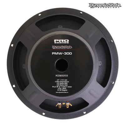 Акустика Dynamic State Автоакустика Dinamic State PMW-300 PRO Series 225/450 Вт (4 ОМ)