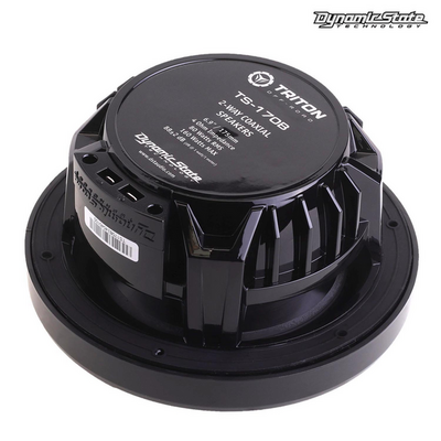 Акустика Dynamic State TRITON TS-170B Black 80/160 ВТ (4Ом)