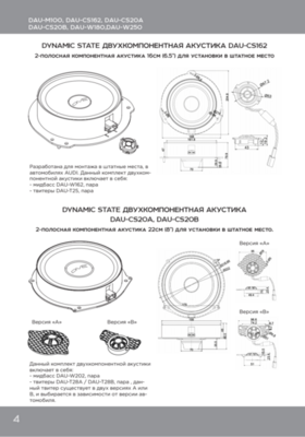Акустика Dynamic State DAU-CS20B DIVE Audi